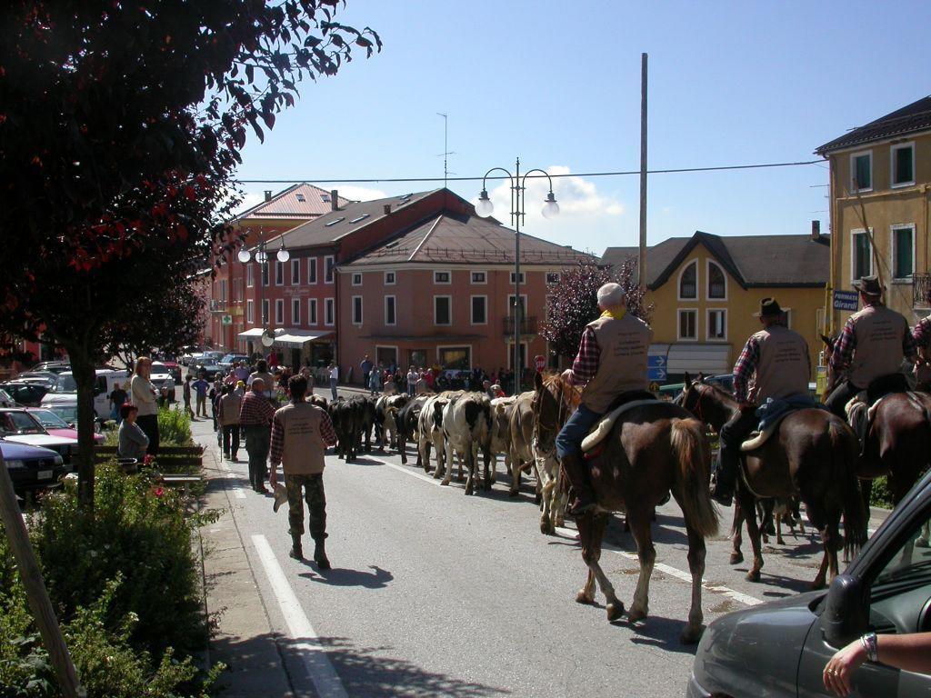 Hotel Monte Fior Foza Kültér fotó